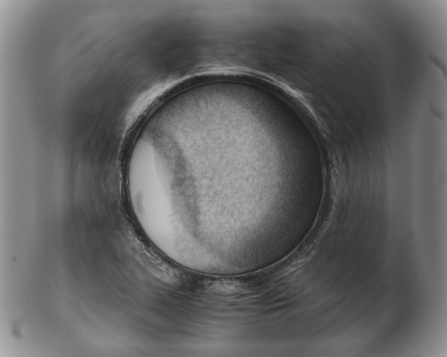 X0000102761319200809020959