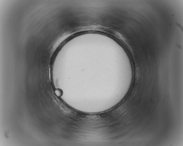 X0000102761320200809020959