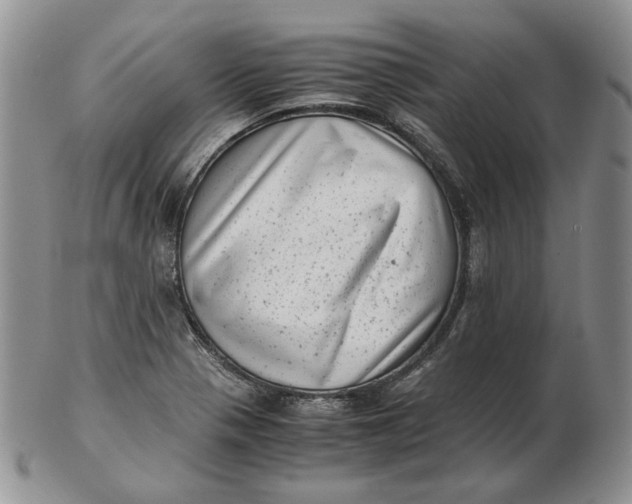 X0000102761321200809020959