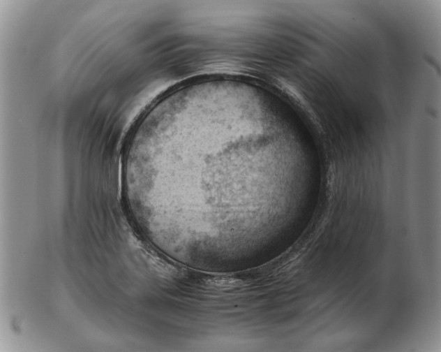 X0000102761323200809020959