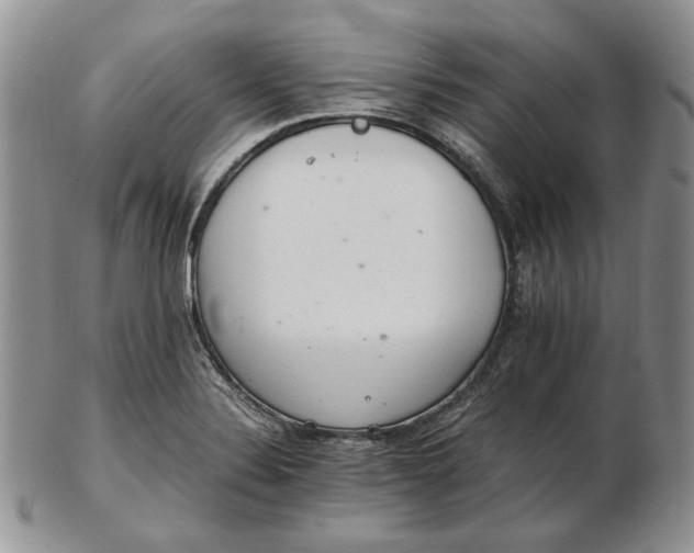 X0000102761324200809020959