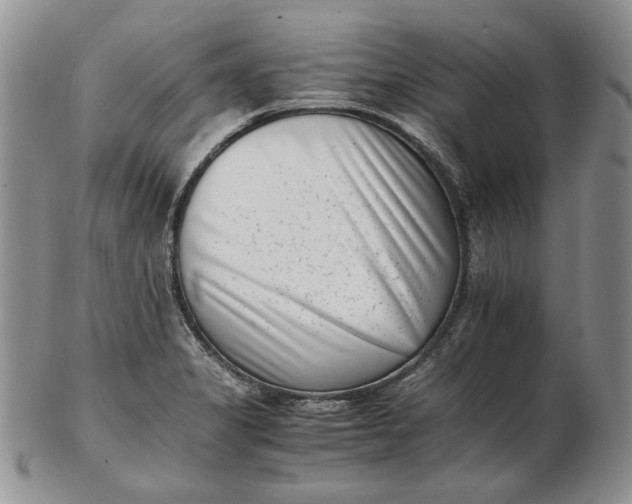 X0000102761325200809020959