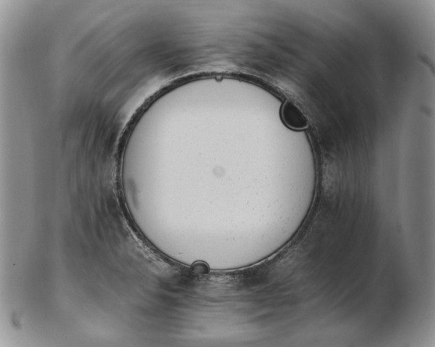 X0000102761326200809020959