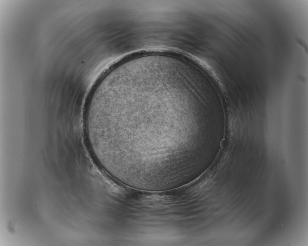 X0000102761327200809020959