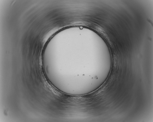 X0000102761328200809020959