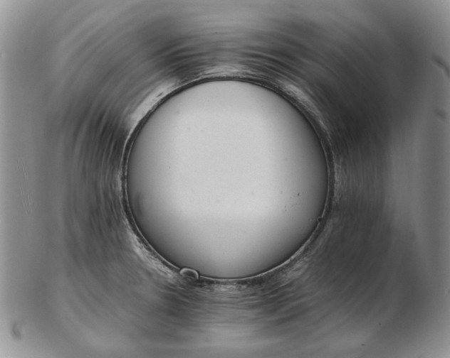 X0000102761330200809020959