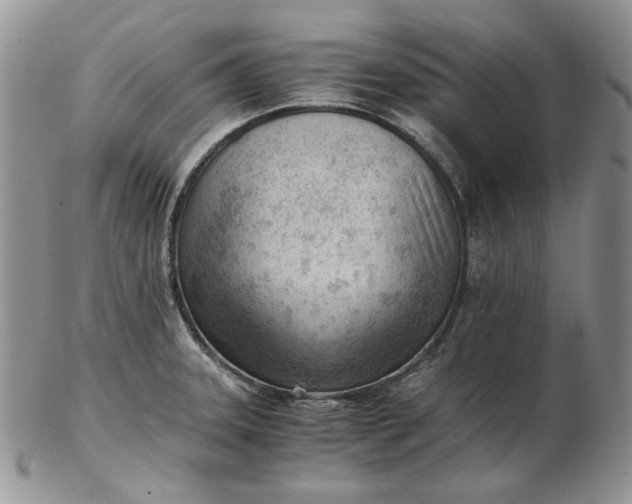 X0000102761331200809020959