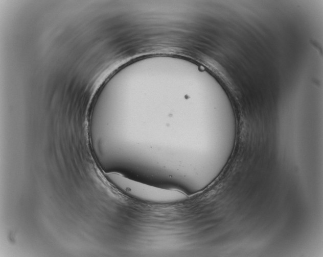 X0000102761332200809020959