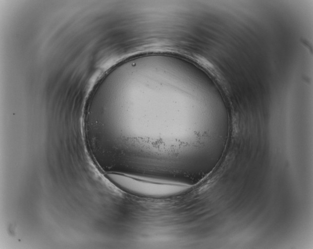 X0000102761334200809020959