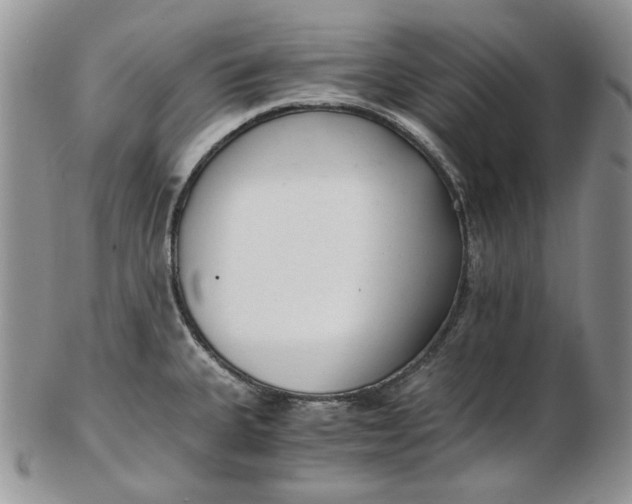 X0000102761335200809020959