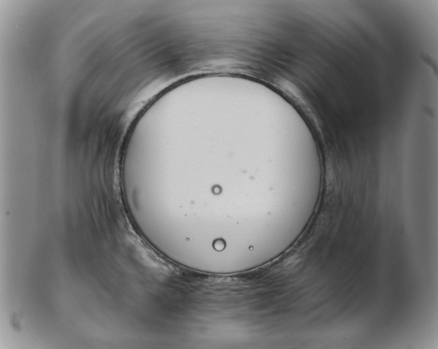 X0000102761336200809020959