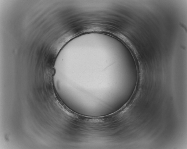 X0000102761337200809020959