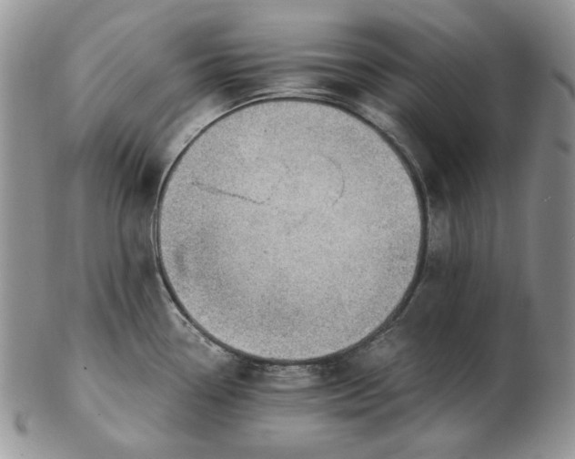 X0000102761338200809020959