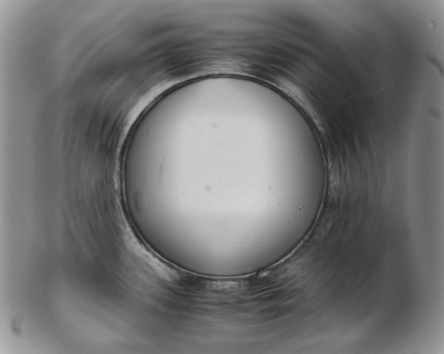 X0000102761339200809020959