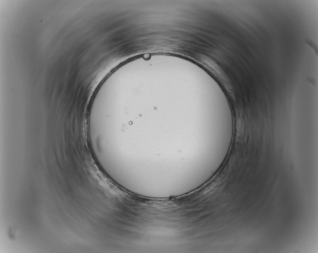 X0000102761340200809020959