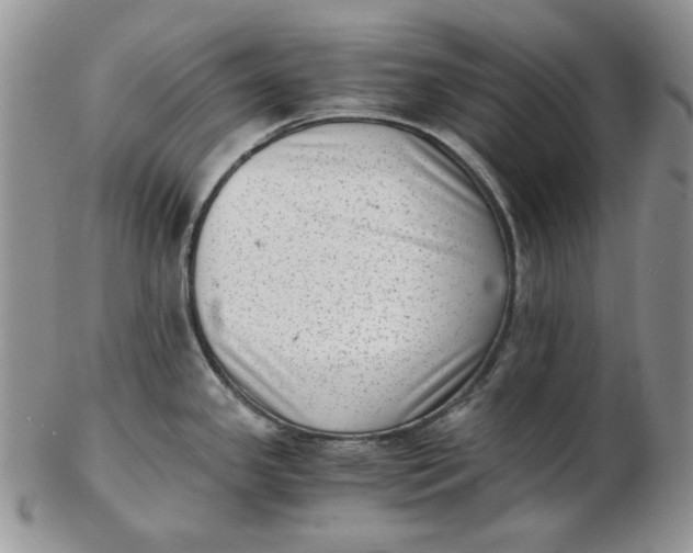 X0000102761341200809020959