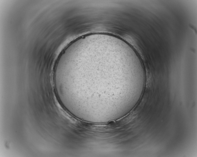 X0000102761342200809020959