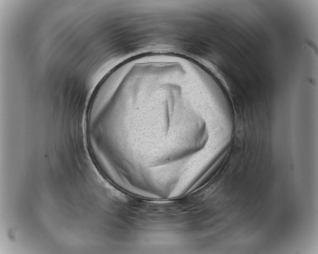 X0000102761343200809020959