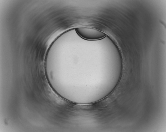 X0000102761344200809020959