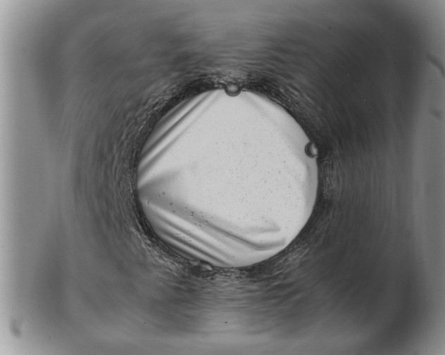 X0000102761345200809020958