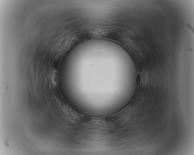 X0000102761346200809020958