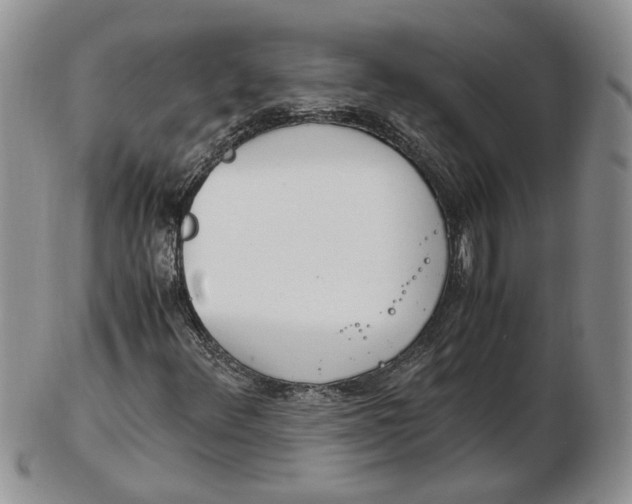 X0000102761348200809020958