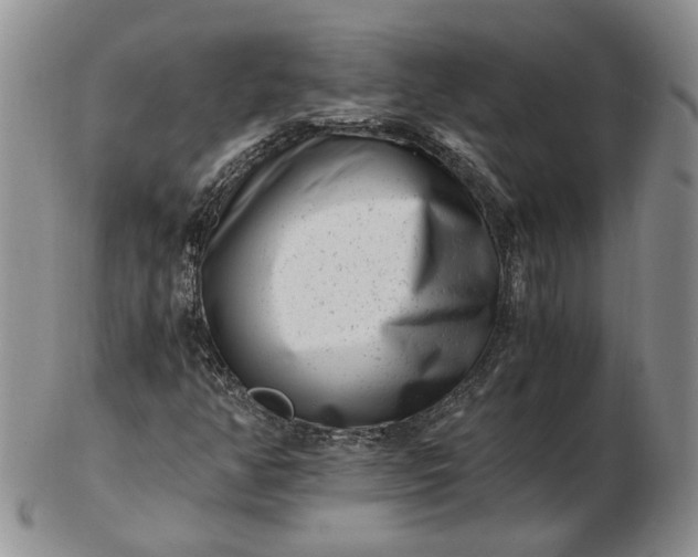 X0000102761350200809020958