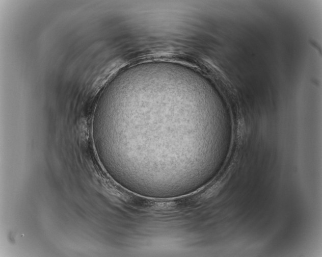 X0000102761353200809020958