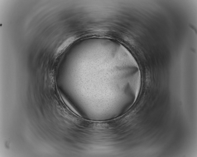 X0000102761354200809020958