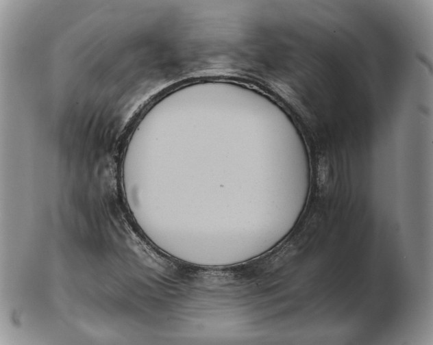 X0000102761356200809020958