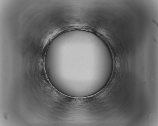 X0000102761357200809020958