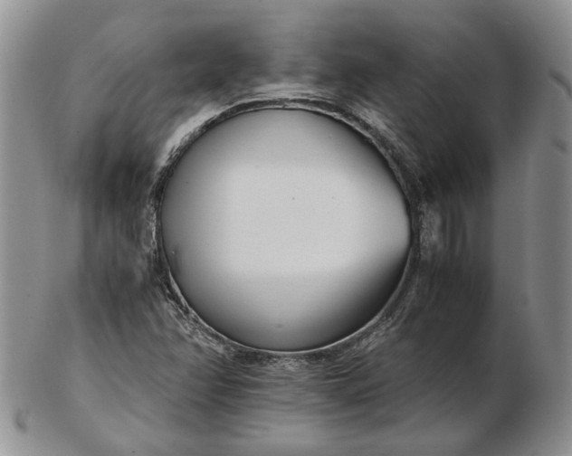 X0000102761358200809020958