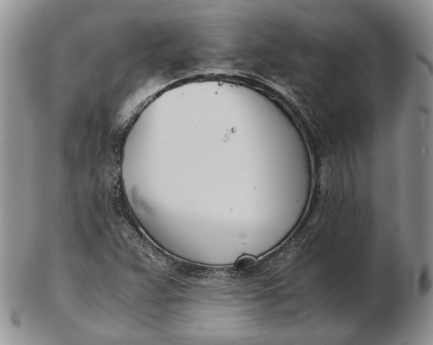 X0000102761359200809020958