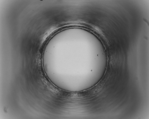 X0000102761360200809020958