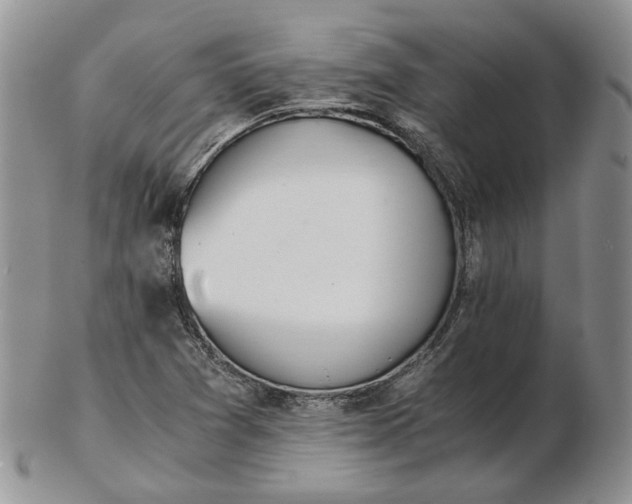 X0000102761361200809020958