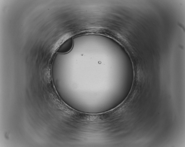 X0000102761362200809020958