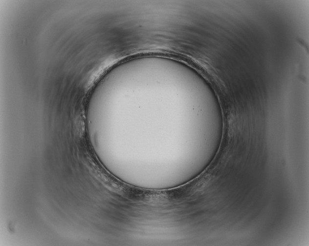 X0000102761363200809020958