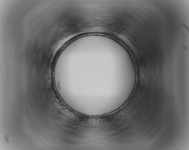 X0000102761364200809020958