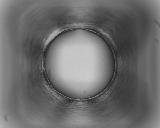 X0000102761365200809020958