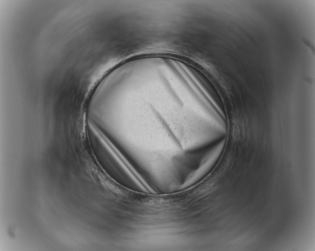 X0000102761366200809020958