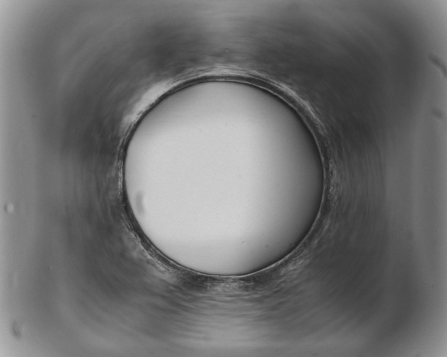 X0000102761367200809020958