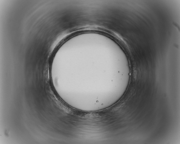 X0000102761368200809020958