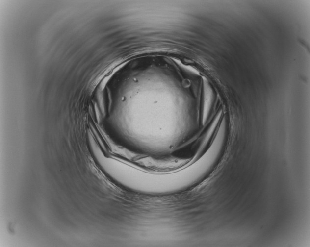 X0000102761369200809020958