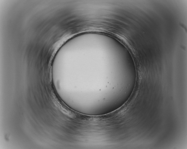 X0000102761371200809020958