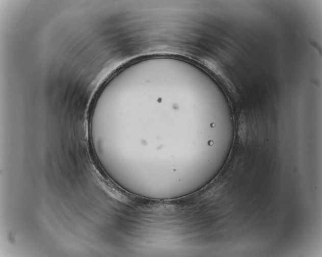 X0000102761372200809020958