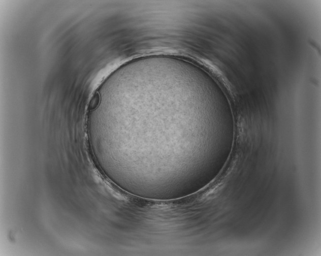 X0000102761373200809020958