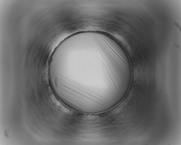 X0000102761374200809020958