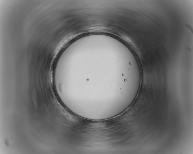 X0000102761376200809020958