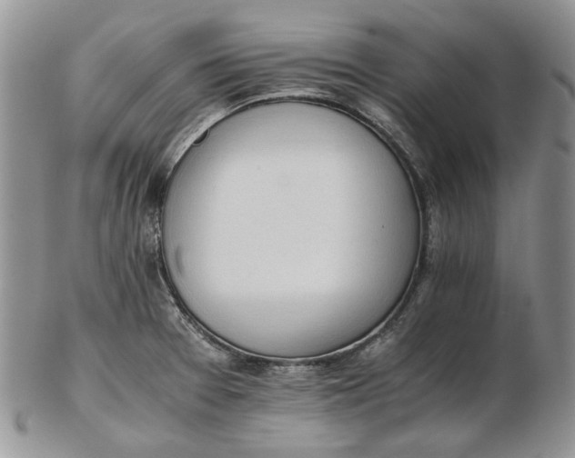 X0000102761377200809020958