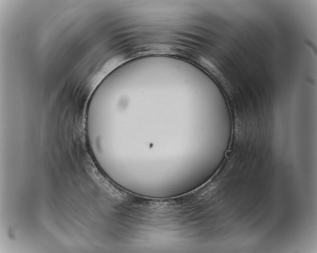 X0000102761378200809020958